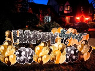 Happy Sweet 16th Birthday! #happybirthday #happy #sweet16 #sweet16th #16yearsold #birthdaygirl #windsoressex #windsorontario #amherstburg #amherstburgontario #tecumsehontario #windsoressex #lasalleontario #yardgreeting

www.yardgreeting.ca